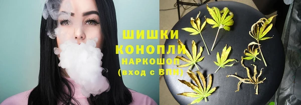 ПСИЛОЦИБИНОВЫЕ ГРИБЫ Заволжье