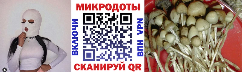 Галлюциногенные грибы мицелий  дарнет шоп  Нарткала 
