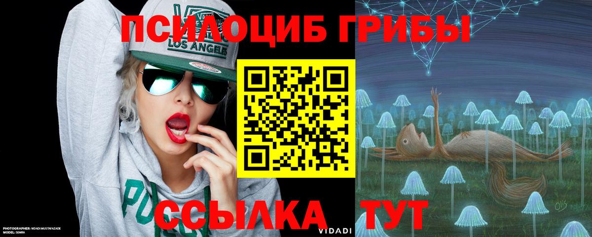 Галлюциногенные грибы мицелий Нарткала